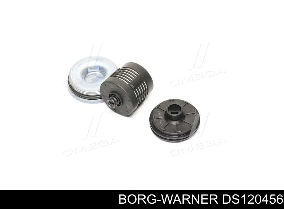 DS120456 Borg-Warner Filtro del sistema hidráulico