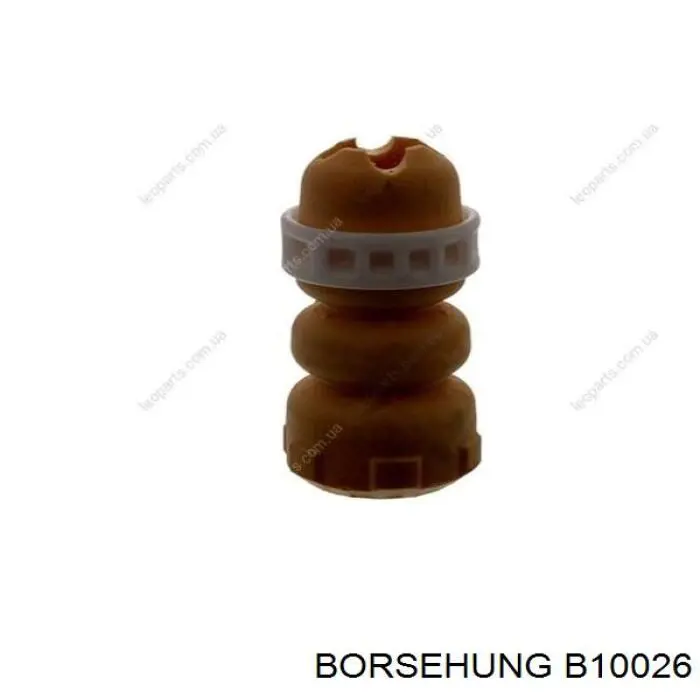 B10026 Borsehung