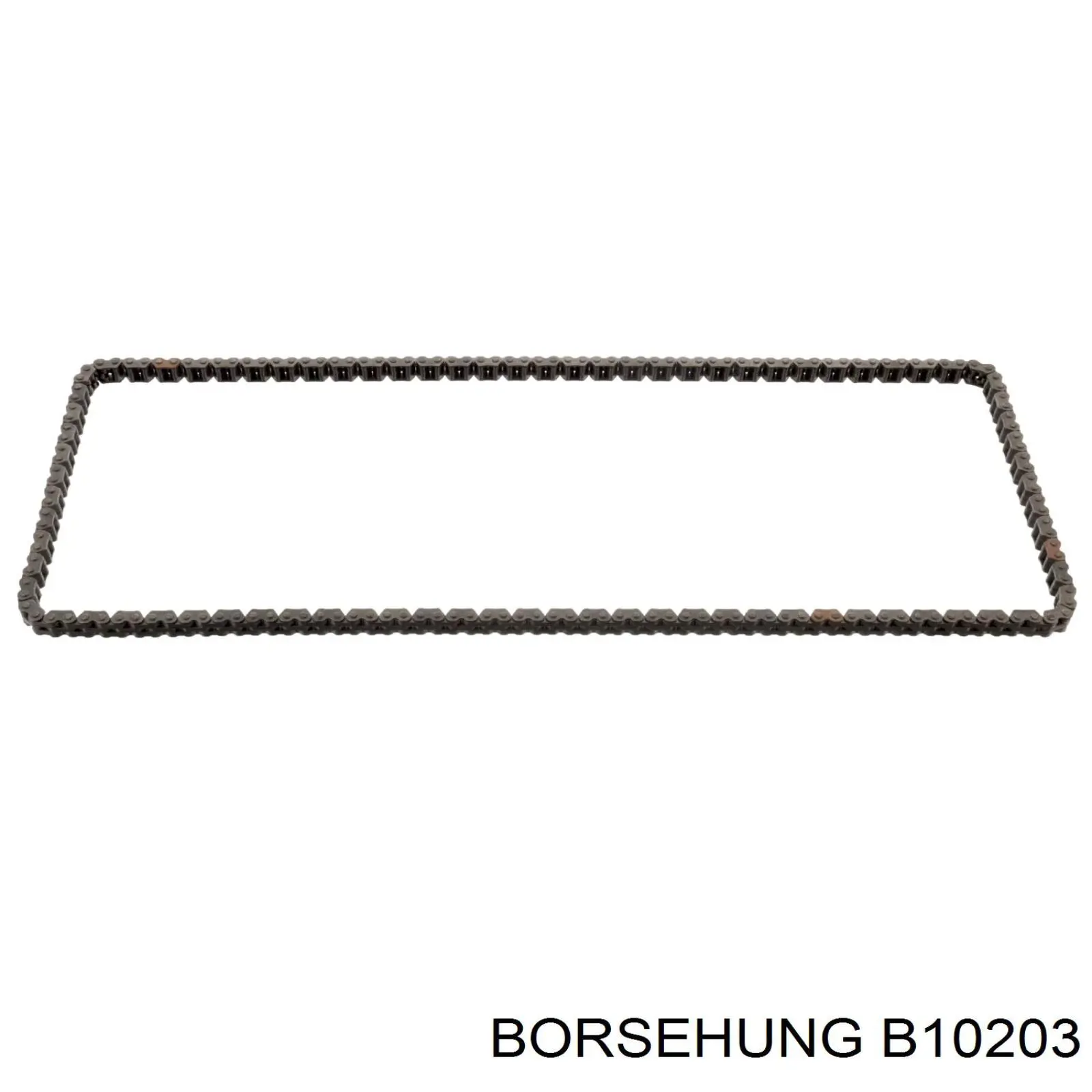 Kit de cadena de distribución Borsehung B10203 precio, desde 143,82 EUR