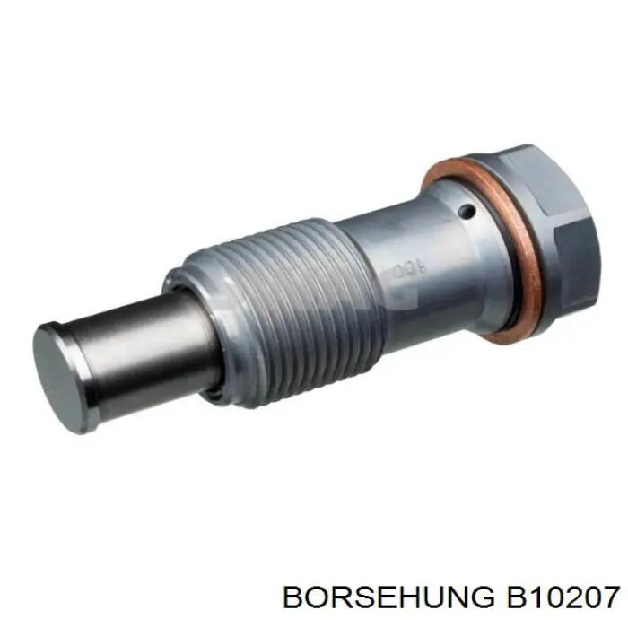 Kit de cadena de distribución Borsehung B10207 precio, desde 123,98 EUR