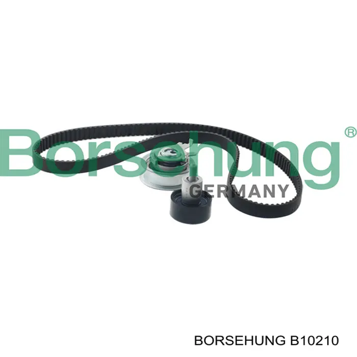 B10210 Borsehung Kit correa de distribución