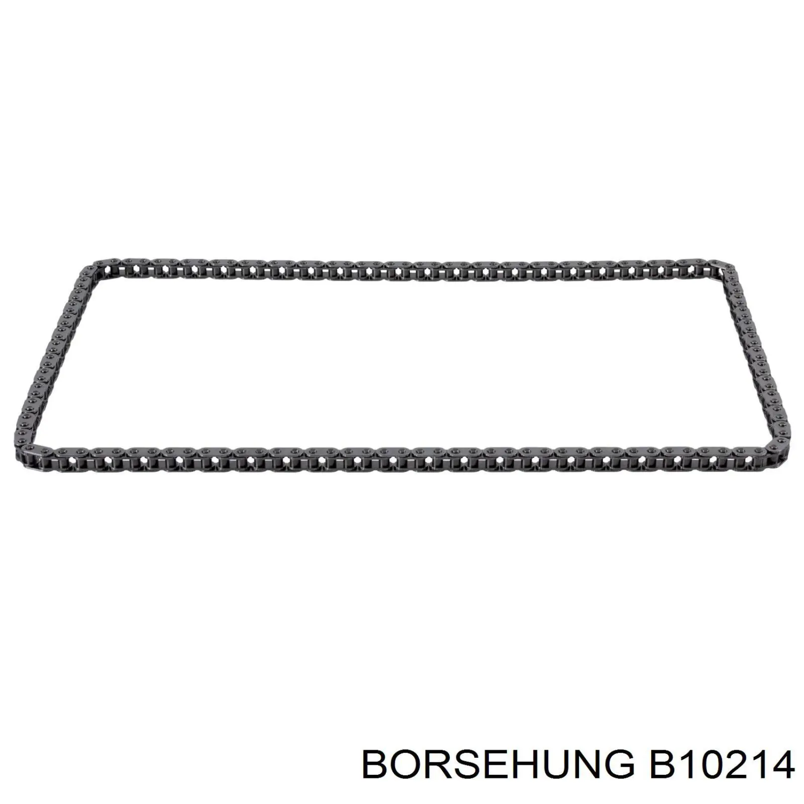B10214 Borsehung Juego de cadena de distribución
