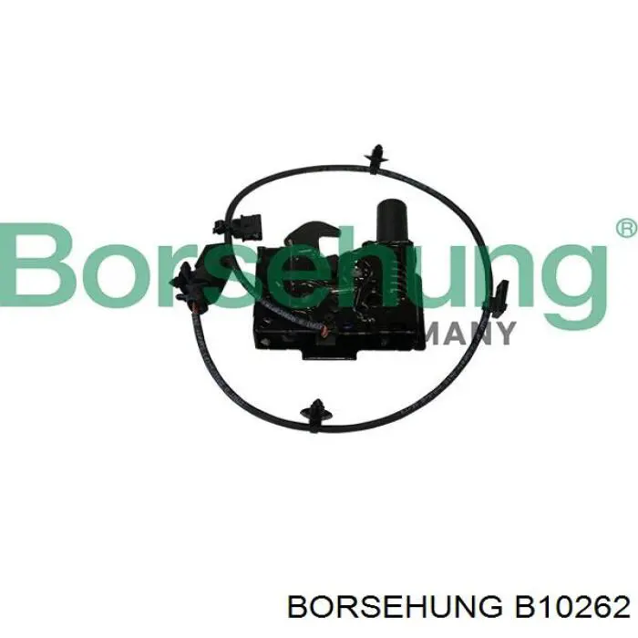 B10262 Borsehung