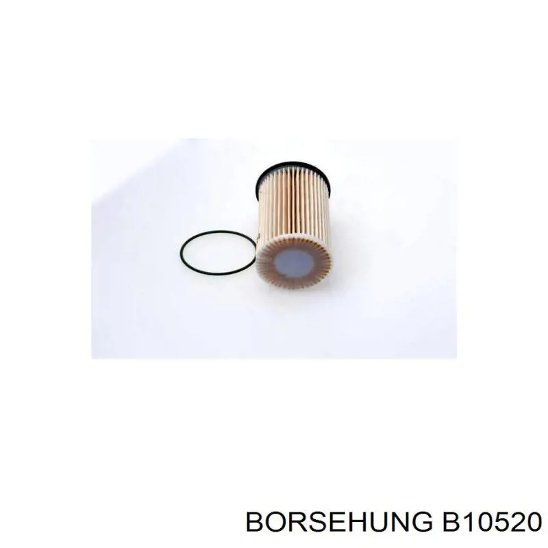 B10520 Borsehung filtro de combustible