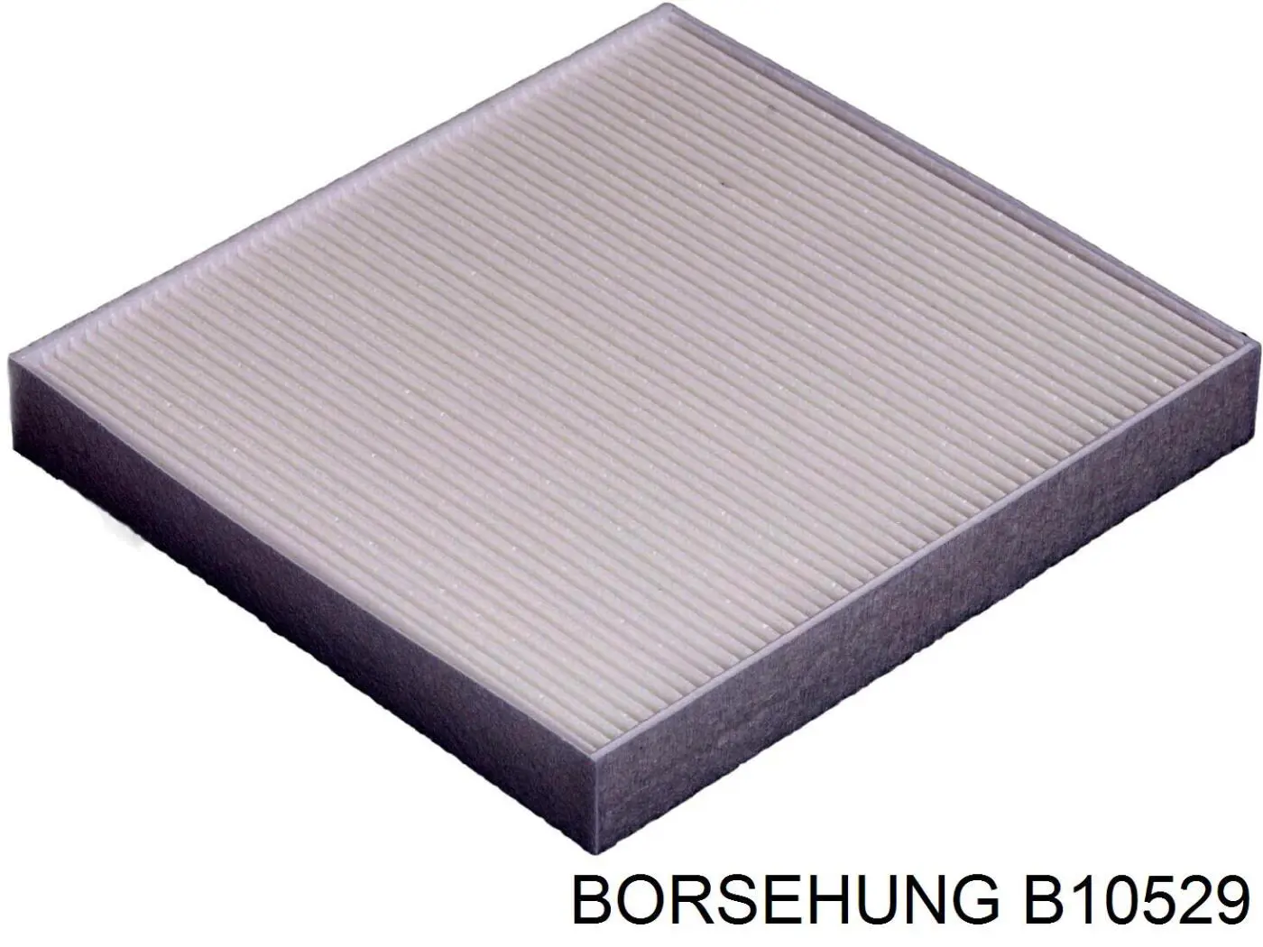 B10529 Borsehung filtro habitáculo