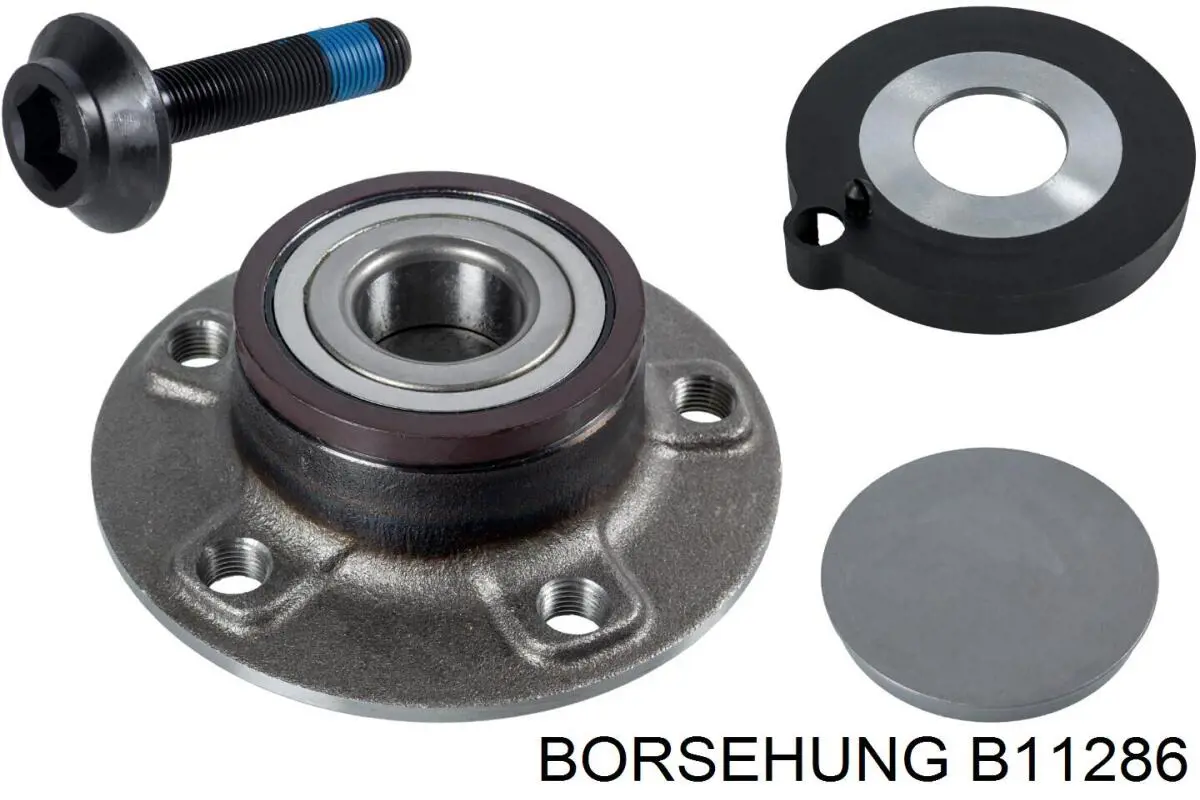 B11286 Borsehung cubo de rueda trasero