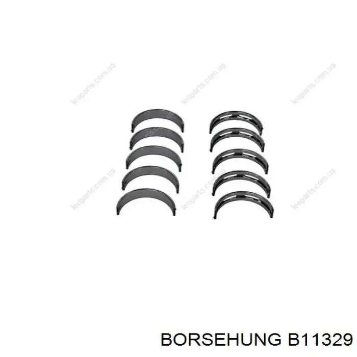 B11329 Borsehung