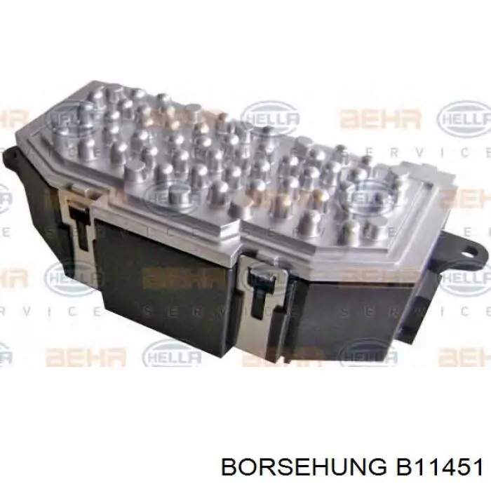 B11451 Borsehung resistencia de calefacción