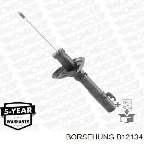 Amortiguadores Borsehung B12134 precio, desde 39,20 EUR