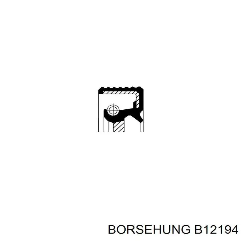 B12194 Borsehung anillo reten caja de cambios