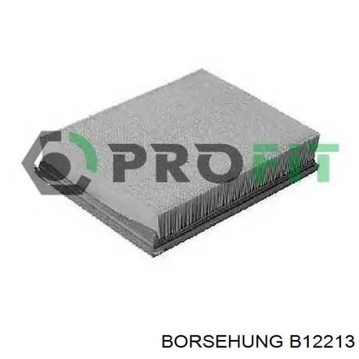 B12213 Borsehung filtro de aire