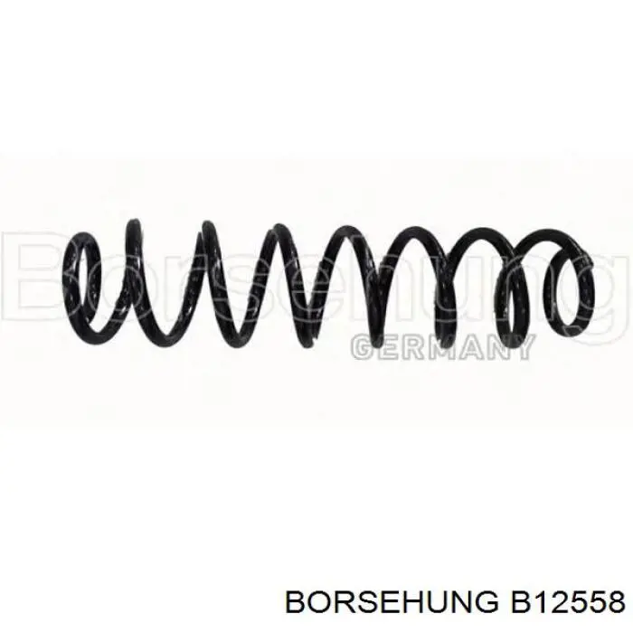 Muelle delantero Borsehung B12558 precio, desde 27,45 EUR