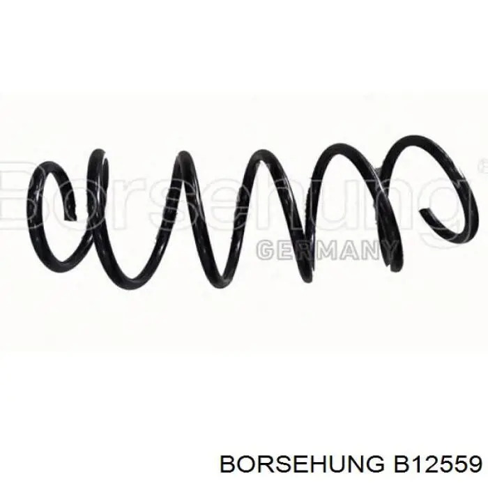 B12559 Borsehung muelle de suspensión eje delantero