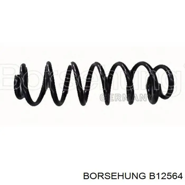 Muelle delantero Borsehung B12564 precio, desde 46,87 EUR