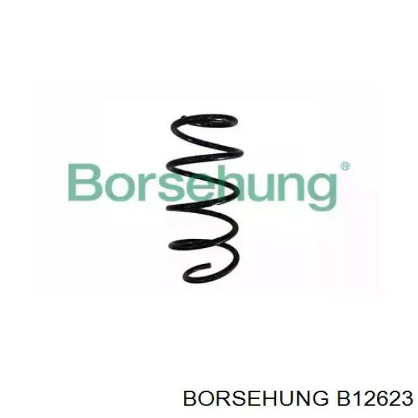 Muelle delantero Borsehung B12623 precio, desde 43,65 EUR