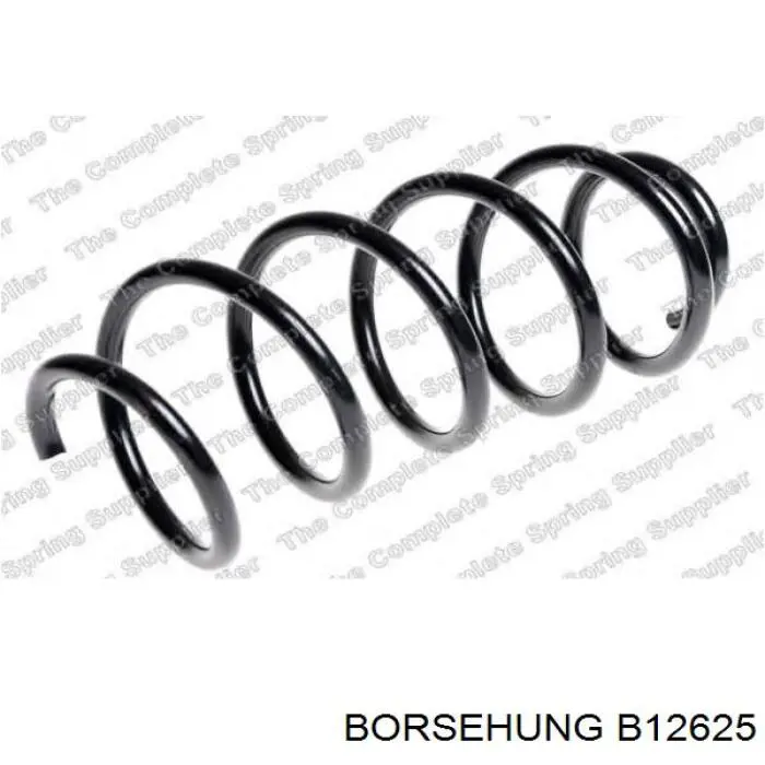 Muelle delantero Borsehung B12625 precio, desde 43,12 EUR