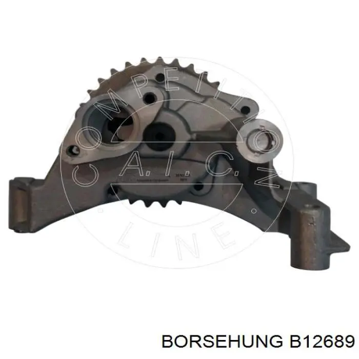 B12689 Borsehung