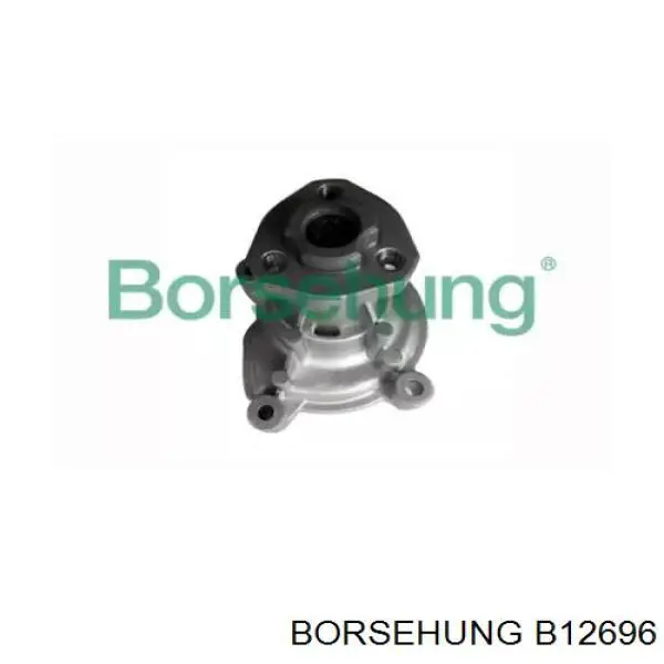 Bombeadora de agua Borsehung B12696 precio, desde 37,35 EUR
