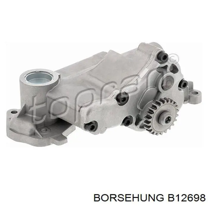 Bomba de aceite Borsehung B12698 precio, desde 117,99 EUR