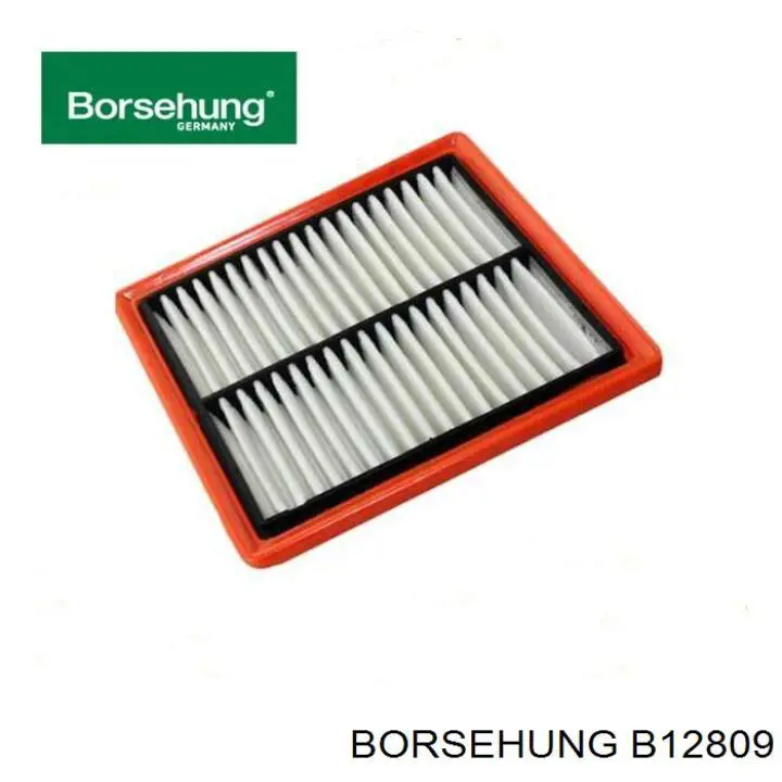 B12809 Borsehung filtro de aire