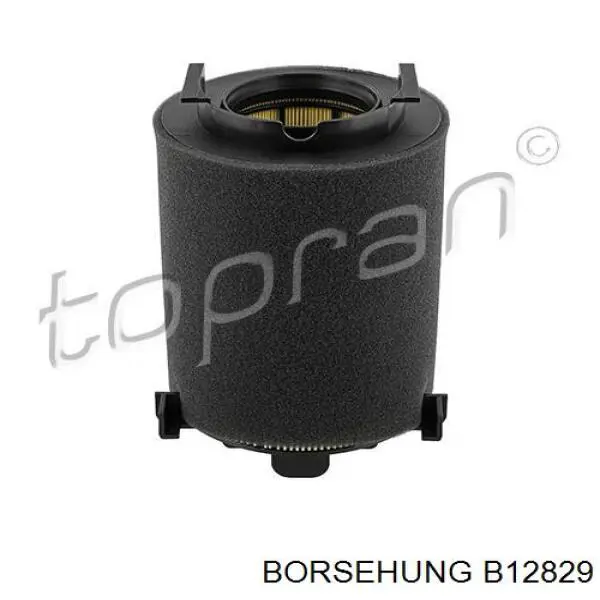 B12829 Borsehung caja del filtro de aire