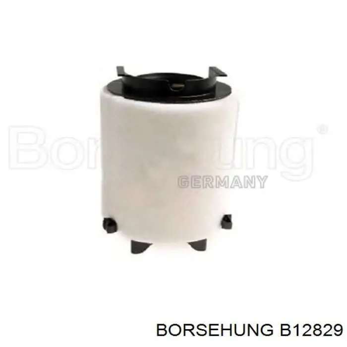 Comprar B12829 Borsehung Caja del filtro de aire
