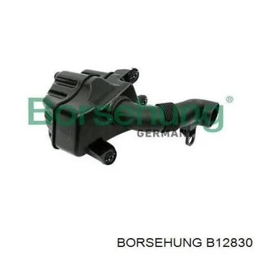 Comprar B12830 Borsehung Resonador del filtro de aire