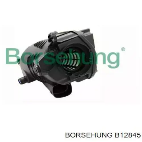 Comprar B12845 Borsehung Caja del filtro de aire