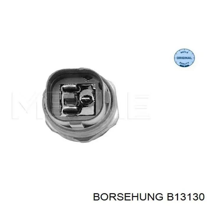 B13130 Borsehung sensor, temperatura del refrigerante (encendido el ventilador del radiador)