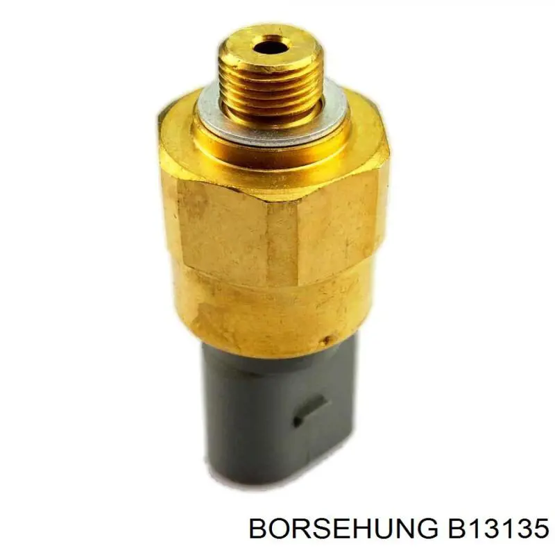 Comprar B13135 Borsehung Sensor de la bomba de dirección asistida