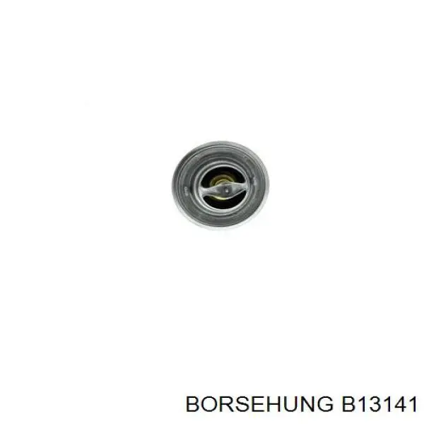 Termostato Borsehung B13141 precio, desde 8,60 EUR