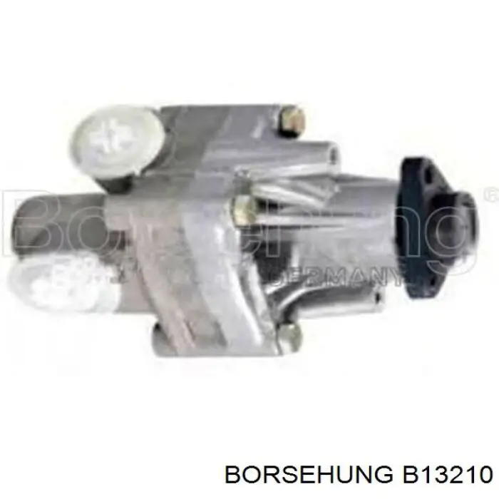 Bomba de dirección asistida  Borsehung B13210 precio, desde 35,05 EUR