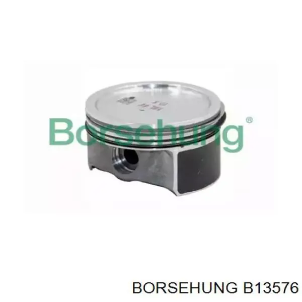 Juego de pistones para motor, STD Borsehung B13576 precio, desde 154,19 EUR