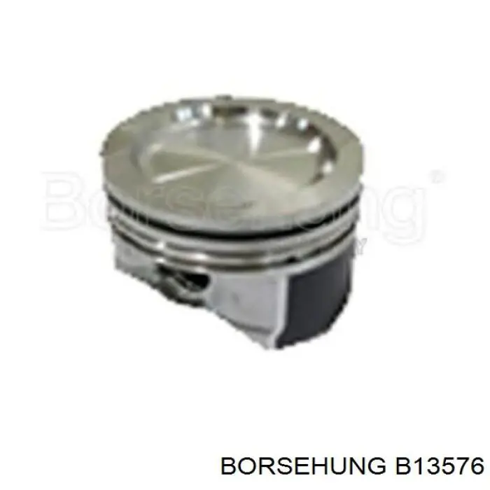 B13576 Borsehung juego de piston para motor, std