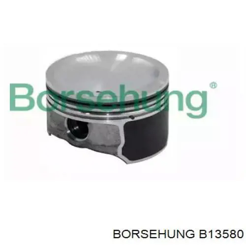 B13580 Borsehung pistón completo para 1 cilindro, std