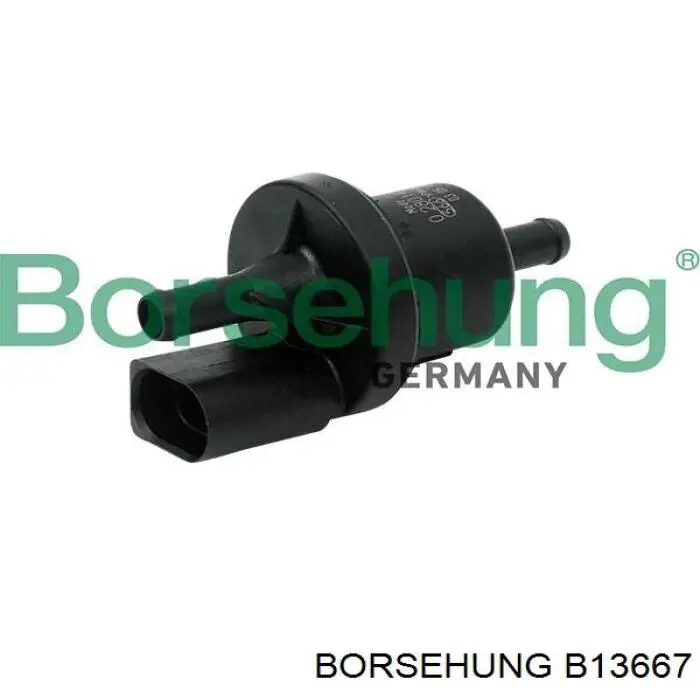 Válvula de ventilación de gases del tanque de combustible Borsehung B13667 precio, desde 31,26 EUR