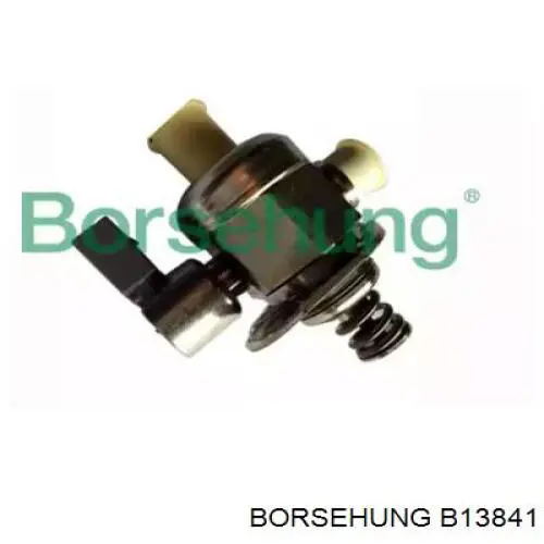 Comprar B13841 Borsehung Bomba inyectora