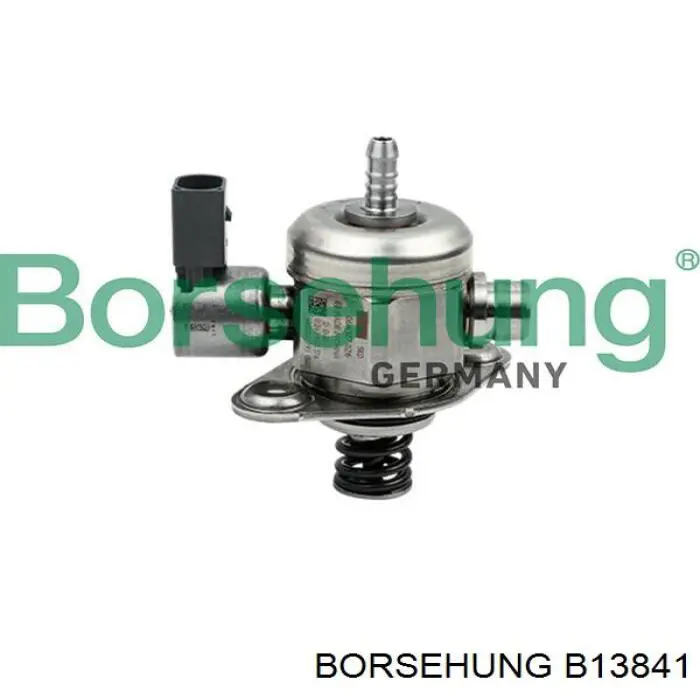 Bomba de alta presión de combustible Borsehung B13841 precio, desde 190,08 EUR