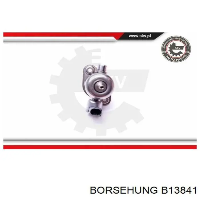 Bomba de alta presión Volkswagen Passat 365