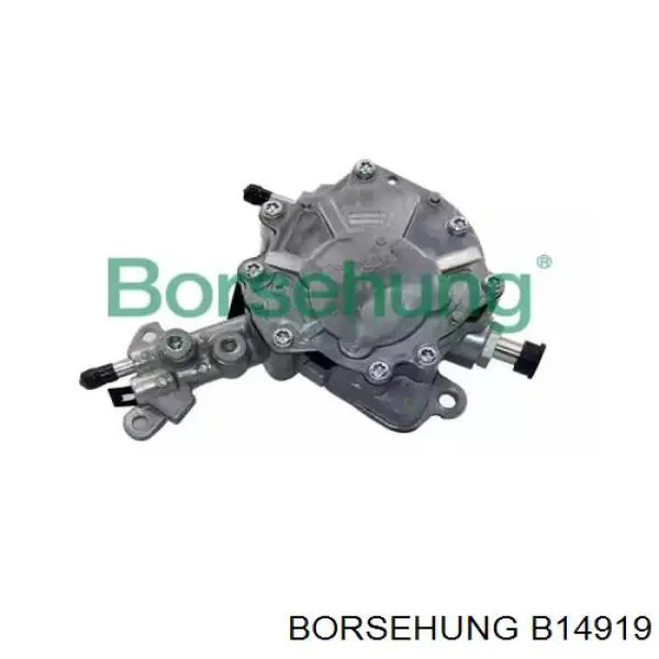 Bomba tándem de combustible Borsehung B14919 precio, desde 62,72 EUR