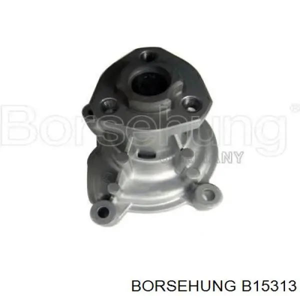 B15313 Borsehung bomba de agua