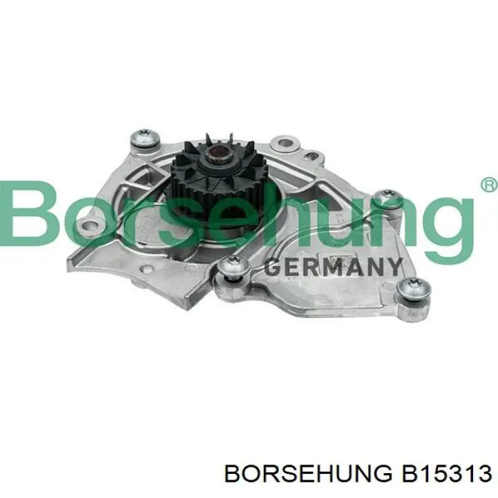 Comprar B15313 Borsehung Bomba de agua para motor