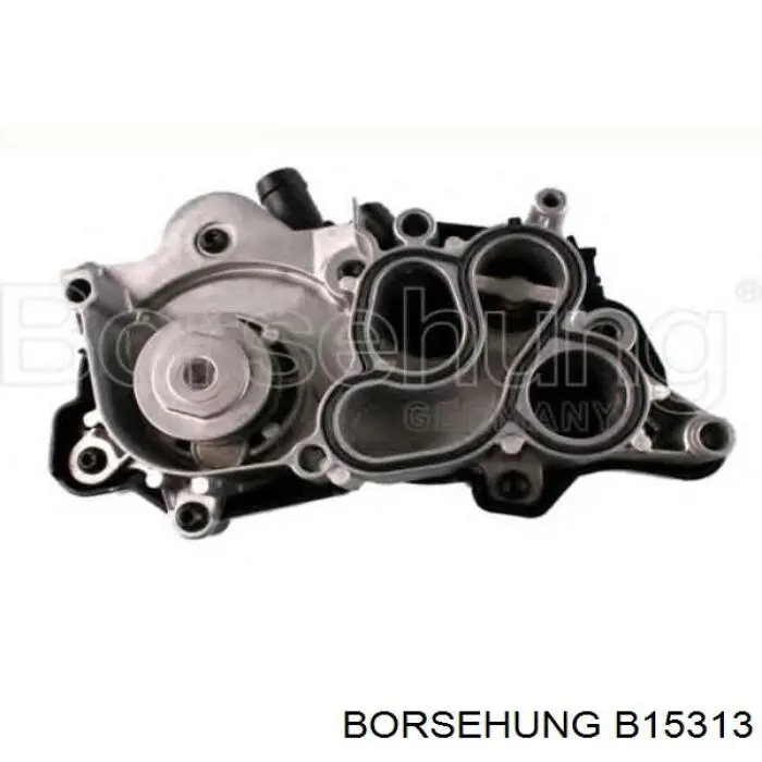 Bombeadora de agua Borsehung B15313 precio, desde 96,89 EUR