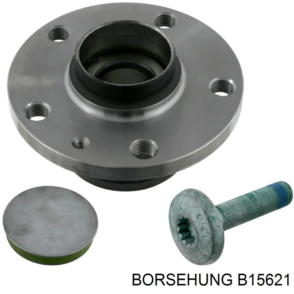 B15621 Borsehung cubo de rueda trasero