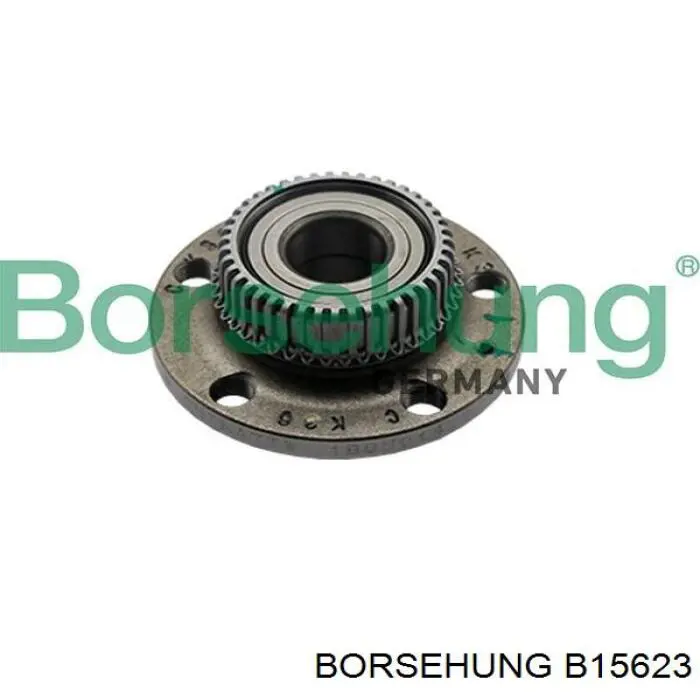 B15623 Borsehung cubo de rueda trasero