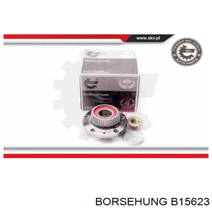 Buje de rueda Borsehung B15623 precio, desde 50,88 EUR