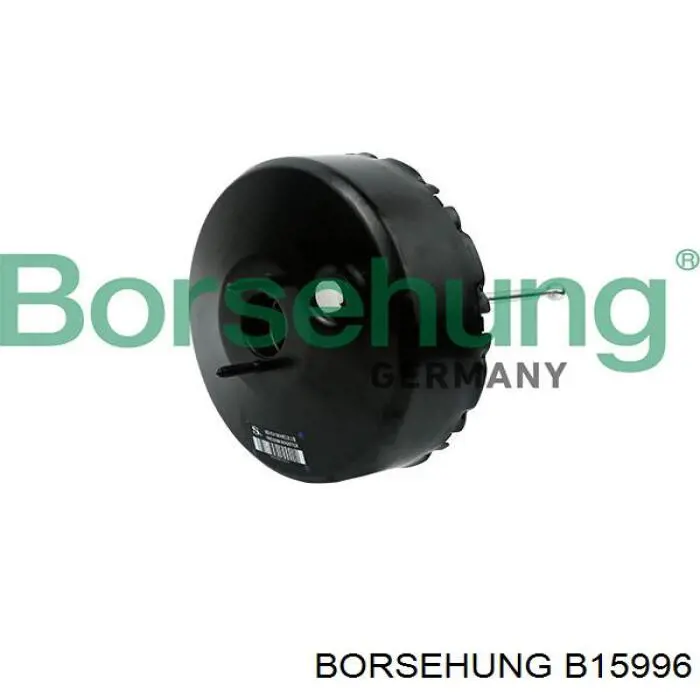 Servofreno Borsehung B15996 precio, desde 112,44 EUR