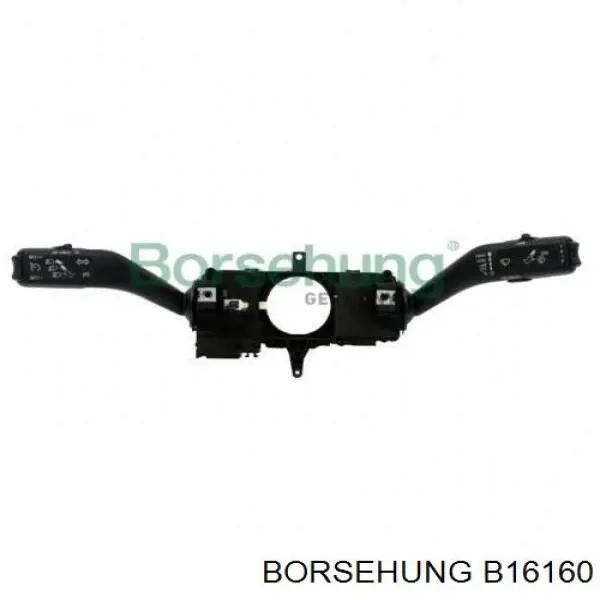 B16160 Borsehung