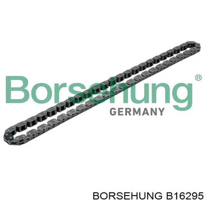 B16295 Borsehung Juego de cadena de distribución