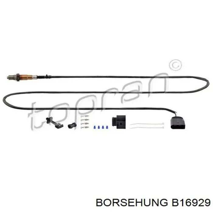 Sonda lambda de oxígeno posterior al catalizador Borsehung B16929 precio, desde 38,64 EUR